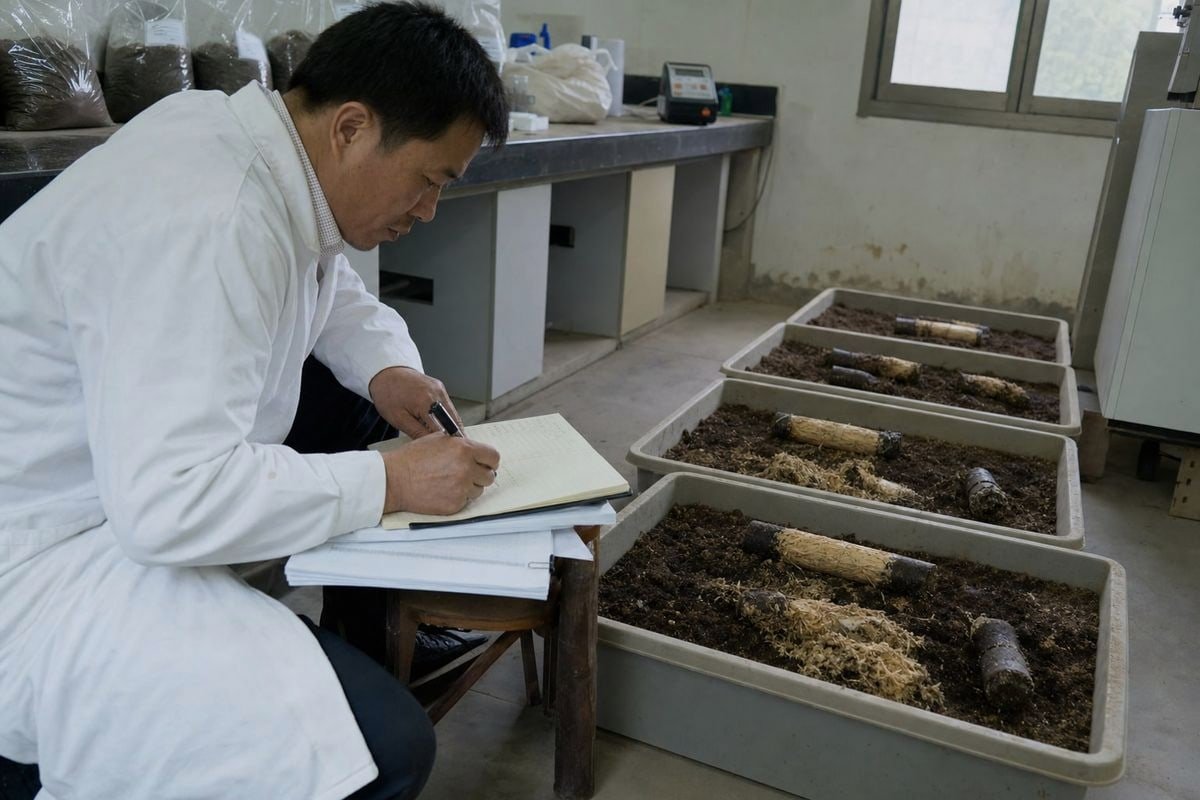 Biodegradability Test Verification Lab test reports verifying biodegradability claims with OECD and ASTM standards (ID#2)