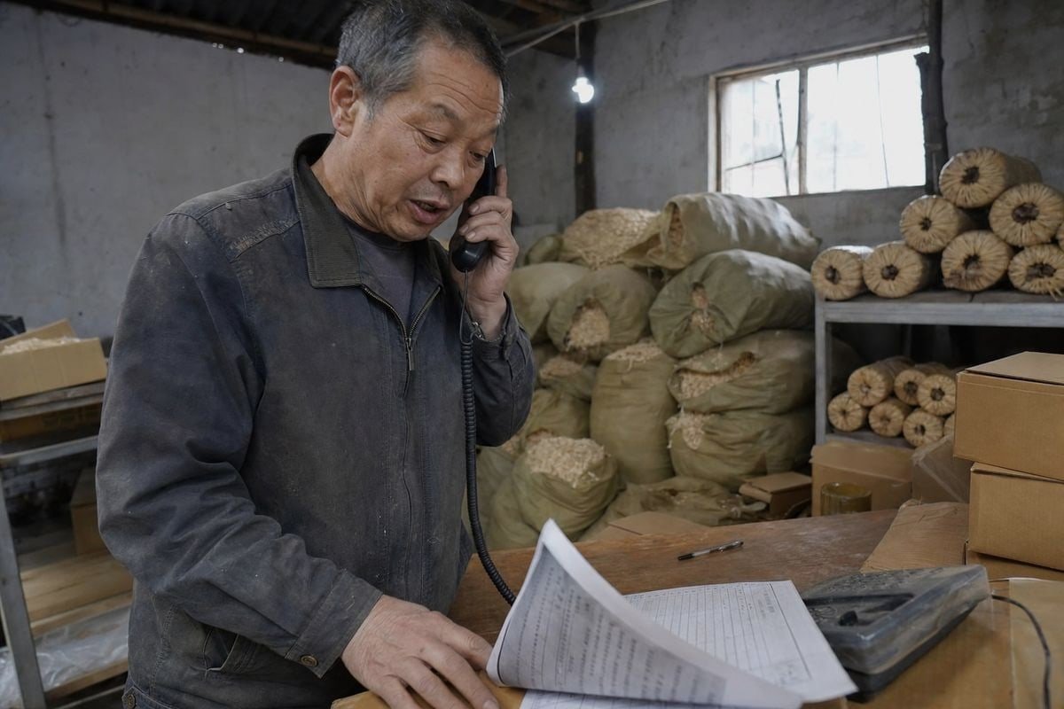 Verifying supplier harvest dates qualify before the EUDR compliance cutoff deadline (ID#3)