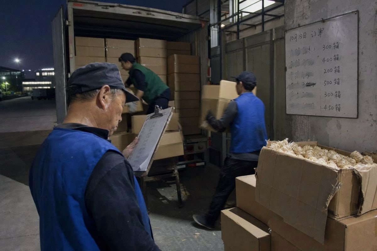 On-Demand Ordering Risks Seasonal price spikes and risks of on-demand wood fire starter ordering throughout the year (ID#3)