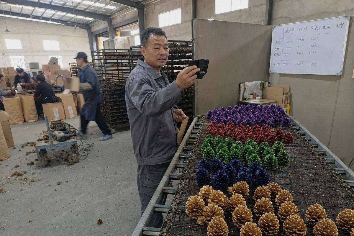 Guide to identifying if a colored pine cones supplier is factory or middleman (ID#1)