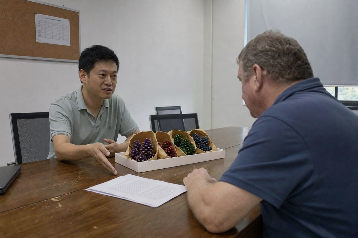 Negotiating written quality standards with fireplace colored pine cone suppliers effectively (ID#1)