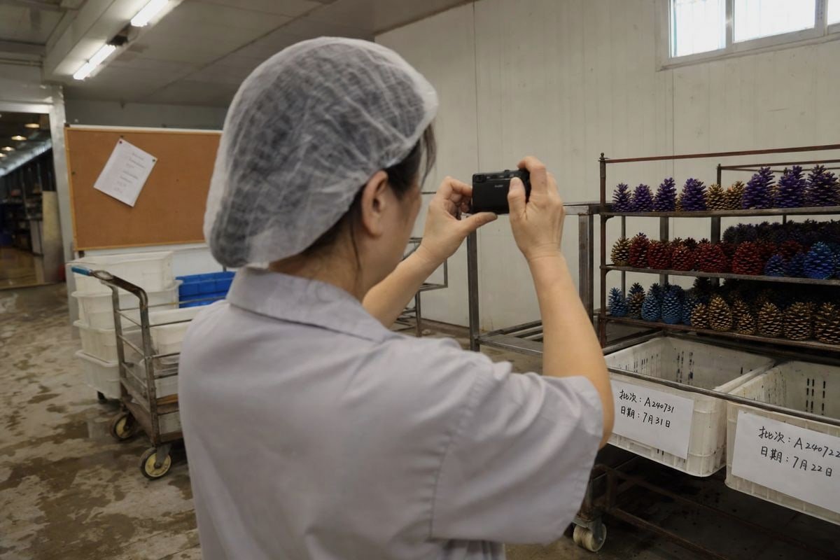 Real-Time Order Monitoring Batch tracker, milestone reports, and QC inspections for monitoring pine cone orders in real time (ID#2)