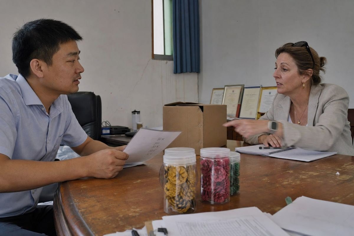 Negotiating Payment Terms Negotiating payment terms with colored pine cone manufacturers to reduce supplier risk (ID#3)