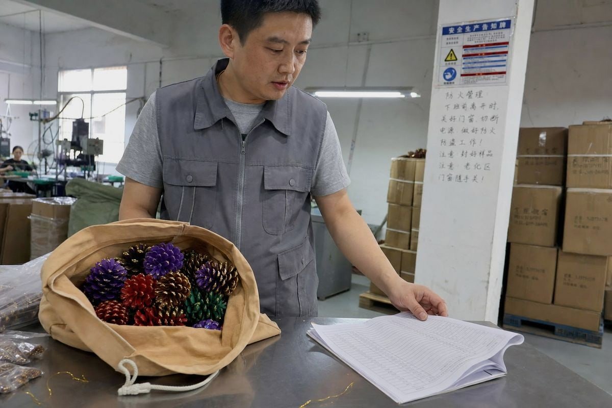 Guía para verificar si las piñas de pino de color para chimenea son mercancías peligrosas al importar desde China (ID#1)