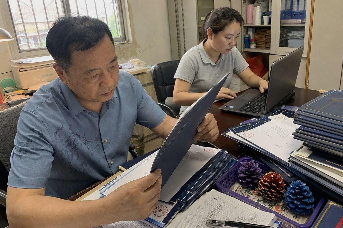 Certifications for Pine Cones Certifications like ISO 9001, CE, and SGS reports to request with colored pine cone samples (ID#2)