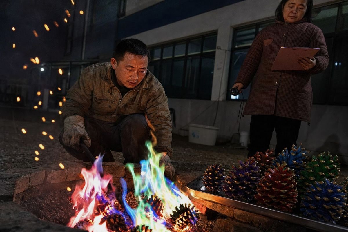 Sample Size Guide Recommended sample quantities for evaluating flame color and burn quality of pine cones (ID#3)