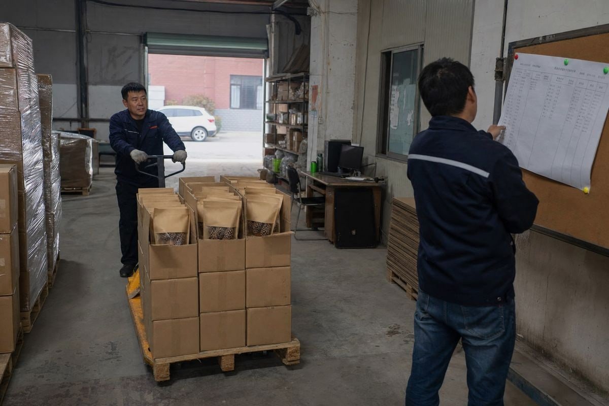 Calculating MOQ and delivery cycles for recurring pine cone subscription orders seasonally (ID#3)