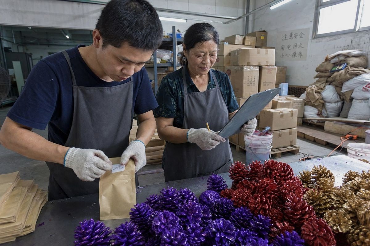 CCPSA Traceability Recordkeeping CCPSA Section 13 records tracking supplier and buyer for colored pine cone shipments (ID#2)