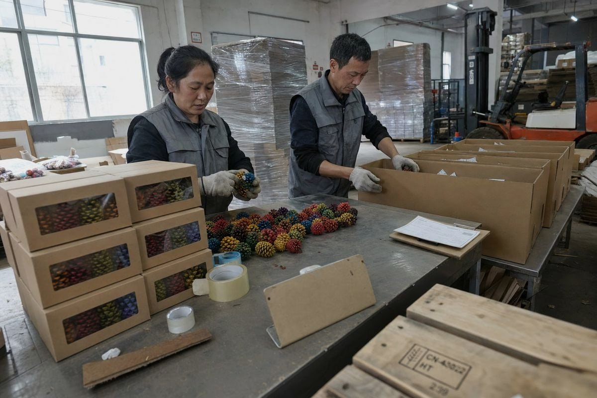 Fire-colored pine cones shipping guide comparing factory packaging and destination repackaging options (ID#1)