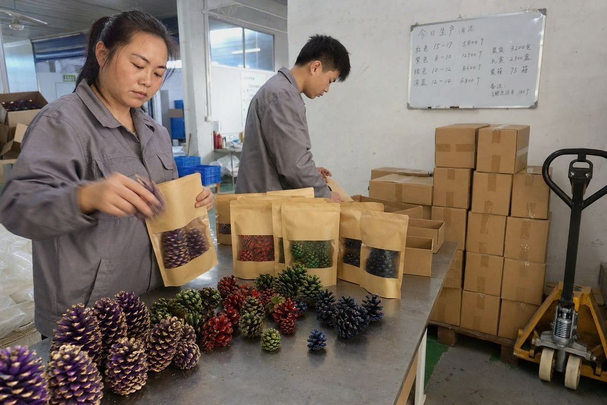 Quality control checkpoints ensuring batch consistency across large pine cone orders (ID#5)