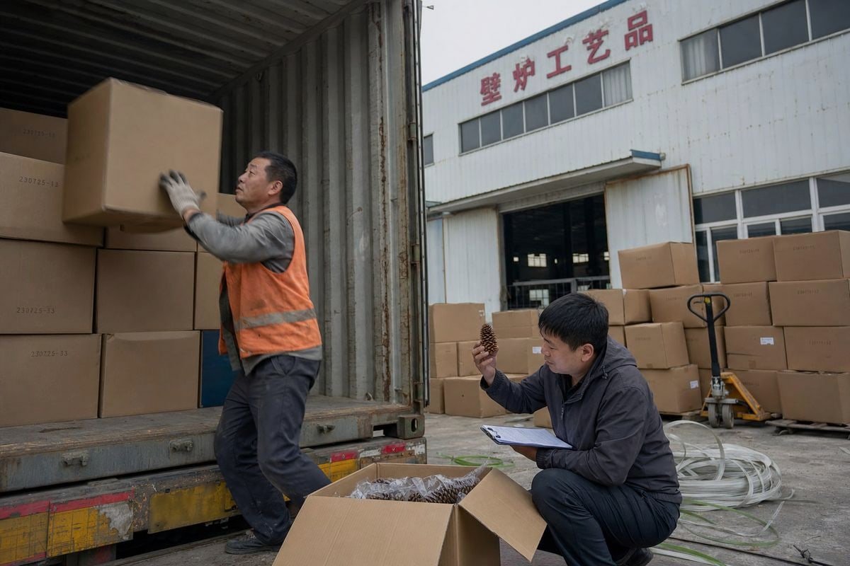 Packaging and Storage Standards Moisture-barrier packaging and storage standards for pinecone shipping (ID#5)