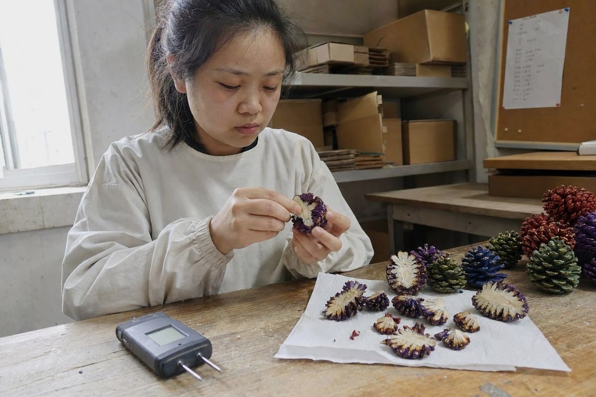 Verify Moisture With Lab Reports Requesting lab test reports and moisture specs from pine cone manufacturers (ID#4)