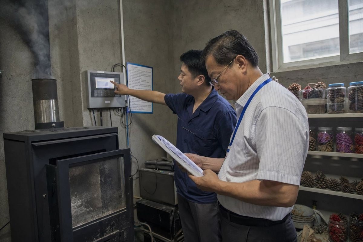 Colored pine cones meeting emission and ventilation standards for stoves and hearths (ID#4)
